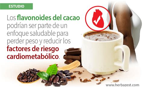 Infografía que explica cómo los flavonoides del cacao mejoran la función endotelial y reducen la presión arterial.