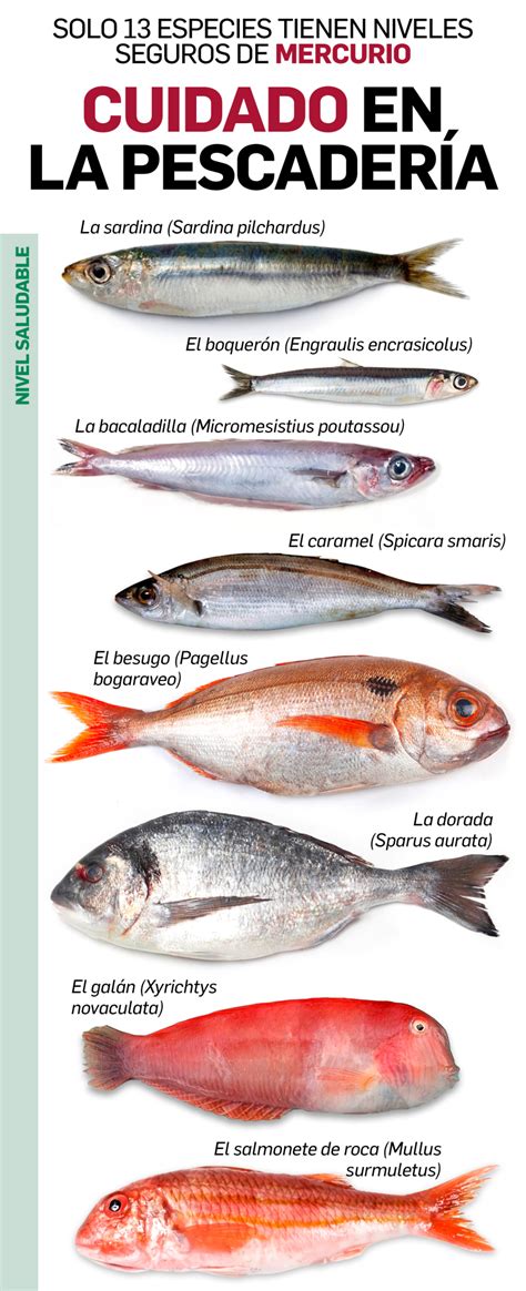 Infografía comparativa de niveles de mercurio en diferentes tipos de pescado