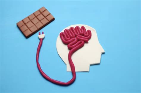 infografía sobre los efectos del chocolate en el cerebro y el estado de ánimo