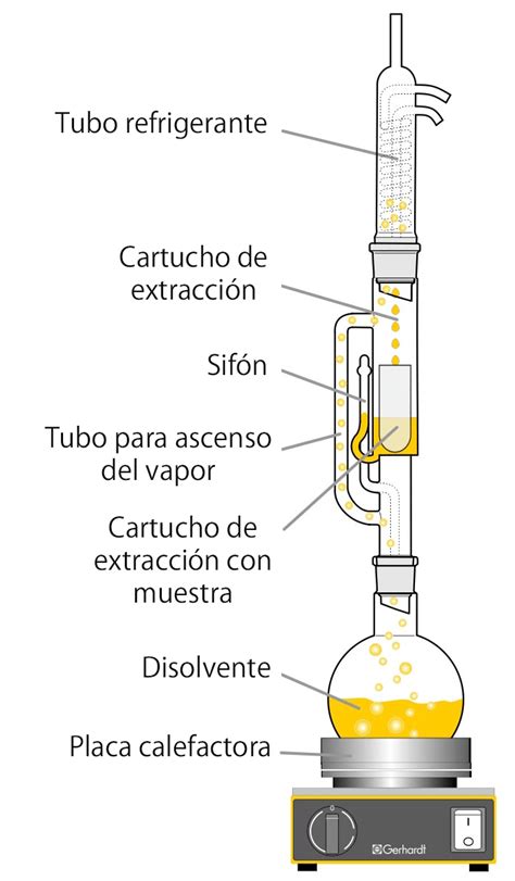 Esquema técnico que muestra el proceso de extracción en caliente frente al goteo o inmersión en frío.