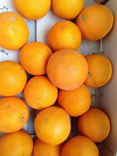 Naranjas valencia cortadas