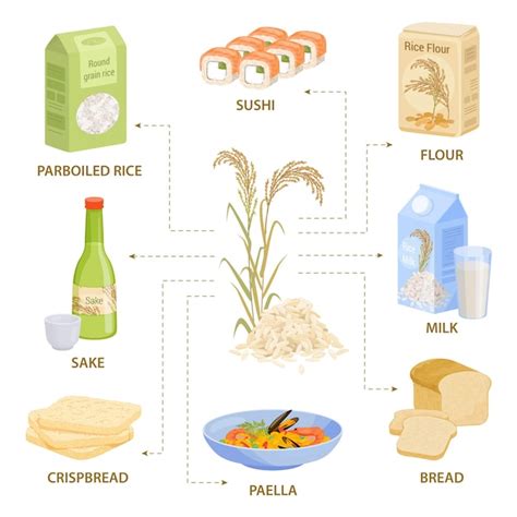 Diagrama que ilustra la composición del grano de arroz y cómo el procesamiento afecta la distribución de nutrientes.