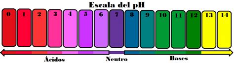 Secuencia de colores de un extracto de repollo rojo al variar el pH (rojo en ácido, morado en neutro, azul/verde en alcalino).