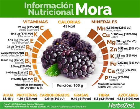Infografía detallando los beneficios nutricionales de las moras.