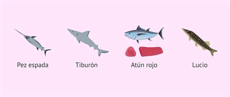 Pescados con alto y bajo contenido de mercurio