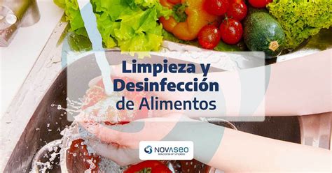 Fotografía que muestra el proceso de limpieza de los champiñones en agua, resaltando su blancura.