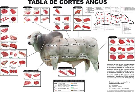 Foto de cortes de carne de raza Brangus o Angus