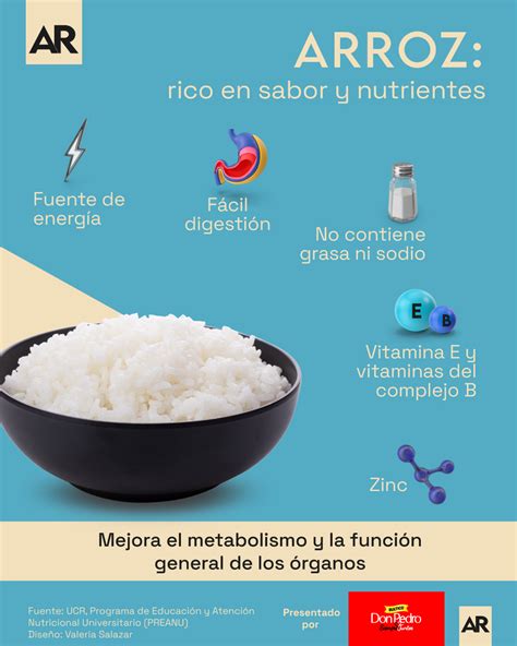 Infografía destacando los beneficios nutricionales del arroz para mascotas: energía, digestión y proteínas.