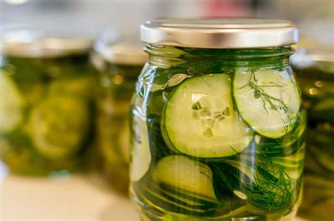 Pepinillos caseros encurtidos en botes de cristal