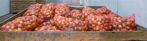 Variedades de cebollas en mallas para almacenamiento