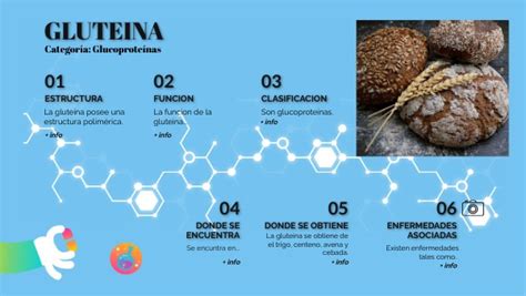 Infografía comparativa de la estructura del gluten y otros componentes de los cereales