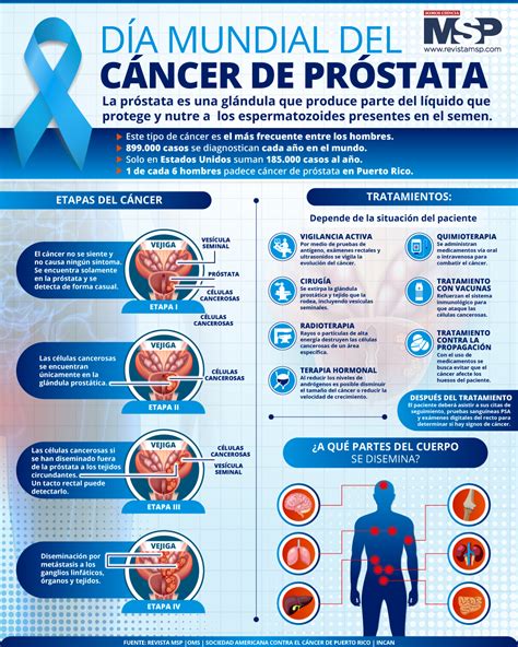 Infografía detallando los beneficios de cada verdura mencionada para la próstata.