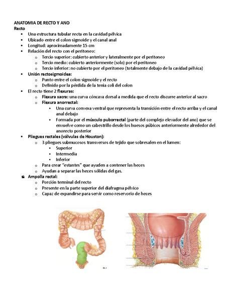 Diagrama: Anatomía del ano y recto, destacando la sensibilidad y la falta de lubricación natural