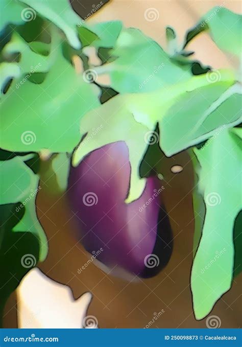 Ilustración botánica de la planta de berenjena (Solanum melongena)