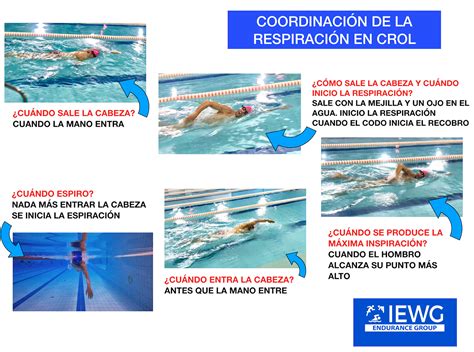 Ilustración que muestra el momento adecuado para la respiración en el estilo crol, con la cabeza girada y un ojo sumergido.