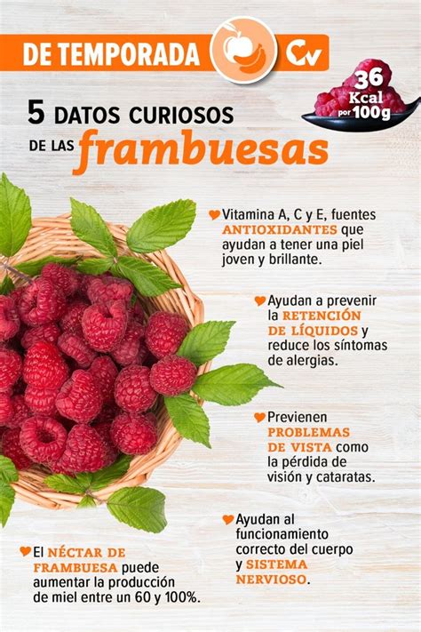 Infografía mostrando los beneficios nutricionales de las frambuesas para el cuerpo humano