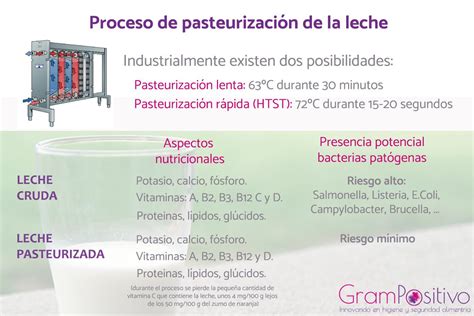 Esquema visual del proceso de pasteurización de claras de huevo