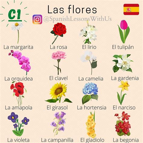 Ilustración de diferentes flores comestibles, cada una con su nombre y color característico.