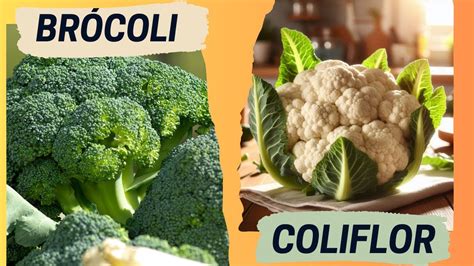 Comparación visual entre una coliflor, un brócoli y una alcachofa, resaltando su forma floral.