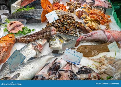 Mercado de mariscos fresco con una variedad de pescados y crustáceos en exhibición.