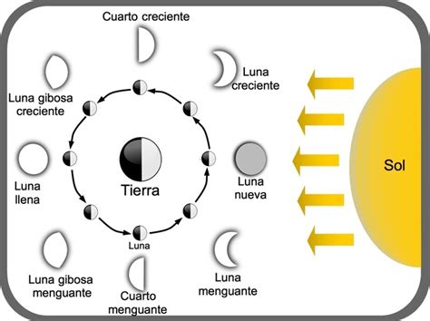 Esquema detallado de las 8 fases lunares y su posición relativa entre la Tierra y el Sol