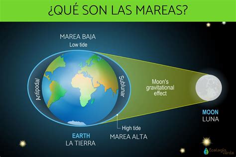 Mapa cronológico de las mareas según la fase de la luna