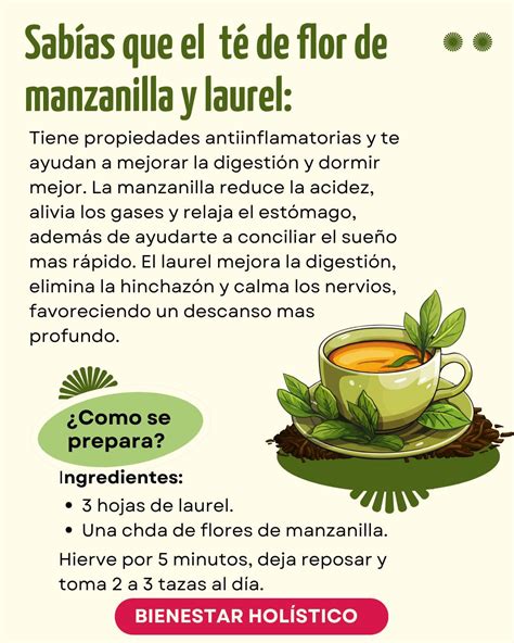 Preparación de té de manzanilla y laurel en una tetera