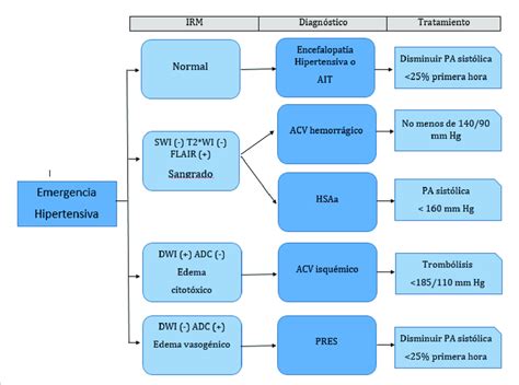 Diagrama de flujo para el diagnóstico de micosis invasoras según EORTC y NIAID.