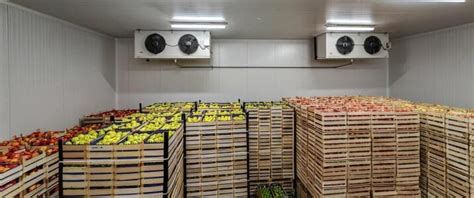 Fotografía de manzanas almacenadas en una cámara frigorífica