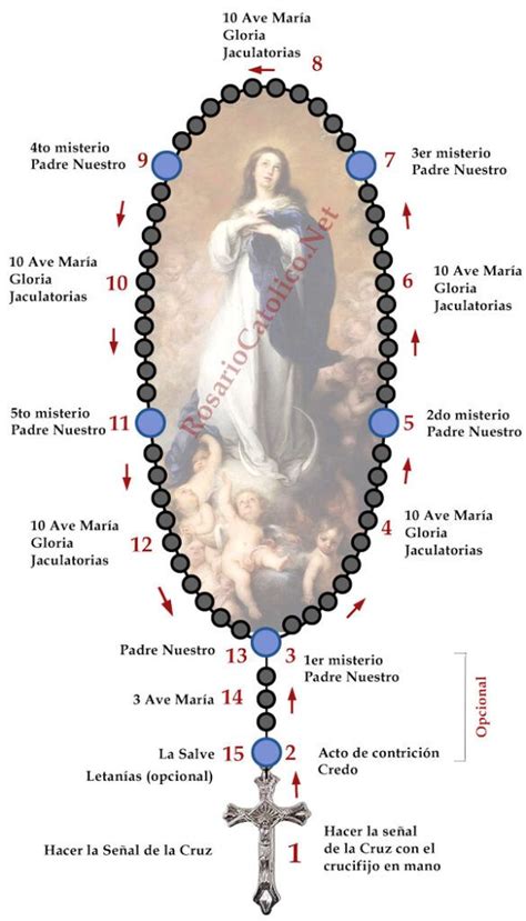 Infografía detallando la estructura de un rosario católico y sus componentes principales (cuentas y cruz)