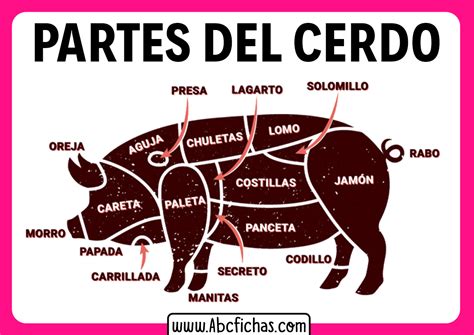 Esquema visual que muestra las partes del cerdo utilizadas (cabeza, lengua, orejas) y el proceso de cocción lenta en olla.