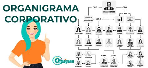 Organigrama corporativo y áreas de especialización estratégica de Lipigas