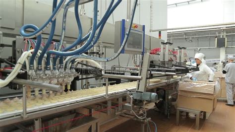 Esquema técnico de una planta de producción de helados con sus cámaras de conservación y túneles de endurecimiento