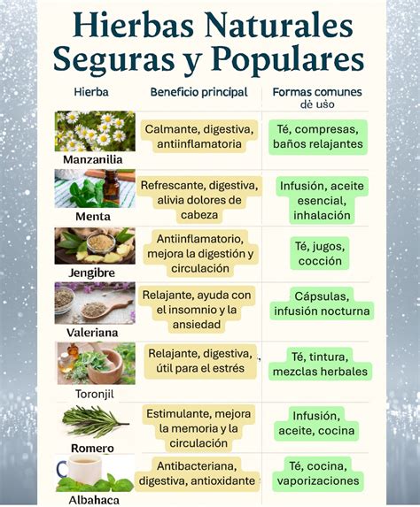 Ilustración de varias hierbas secas usadas en cigarrillos herbales: manzanilla, menta, eucalipto.