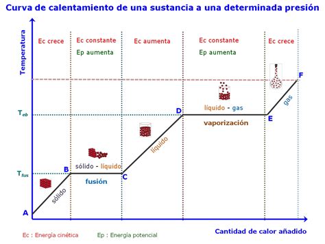 Gráfico estándar de una curva de cocción cerámica mostrando las rampas de calentamiento, mesetas y fase de enfriamiento