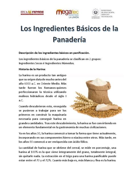 Esquema visual que muestra los ingredientes básicos de la sopaipilla chilena: harina de trigo, zapallo precocido y aceite para freír.