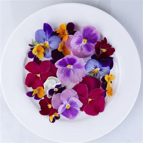 Variedad de makis y nigiris con flores comestibles y hierbas