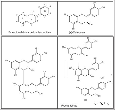 Diagrama de la estructura química de los flavonoides y sus mecanismos de acción antioxidante