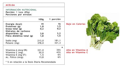 Infografía: Tabla nutricional de la acelga por 100 gramos