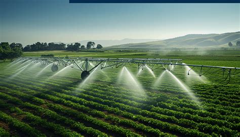 imagen de agricultores trabajando en sistemas de riego
