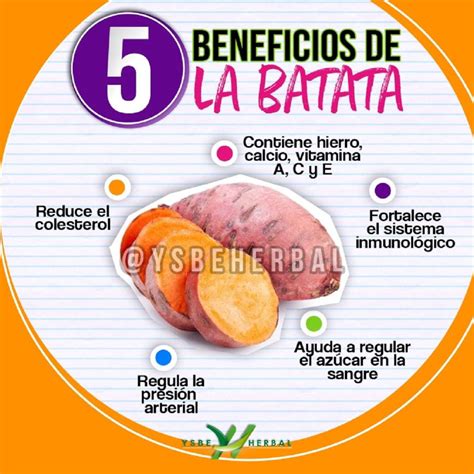 Infografía comparativa de los nutrientes principales de la batata (proteínas, fibra, vitamina A y potasio)