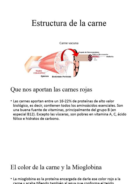 diagrama que muestra la estructura de la carne y la liberación de gelatina al enfriarse y recalentarse