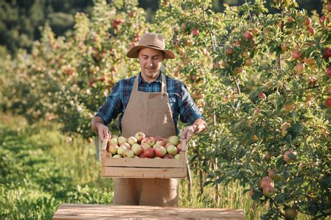 Persona recogiendo manzanas con ropa adecuada y sombrero