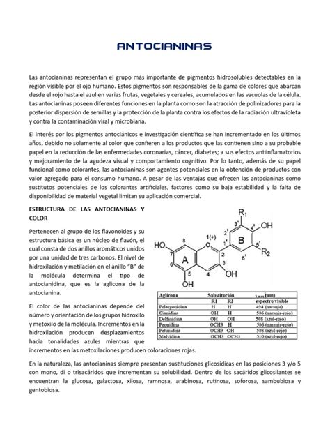 Infografía: Clasificación y fuentes naturales de antocianinas