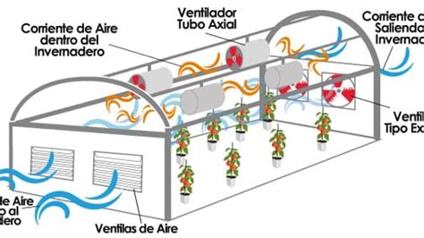 Esquema de un invernadero y sus componentes para la protección de cultivos.