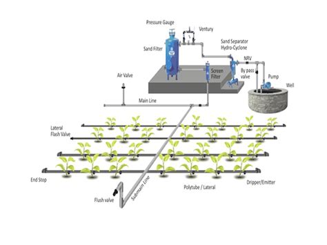Esquema de un sistema de riego por aspersión para protección contra heladas.
