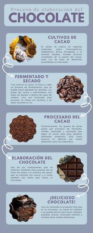 Infografía: Tipos de chocolate y sus características clave para el maridaje