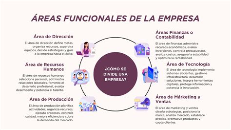 Diagrama que muestra las áreas formativas y la progresión del estudiante