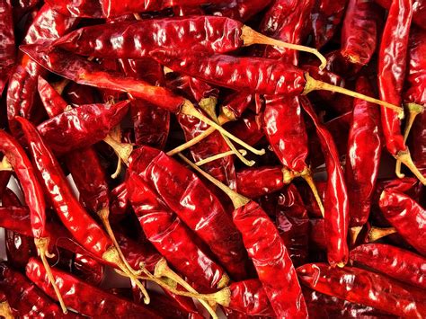 Fotografía de chiles rojos frescos listos para ser procesados.