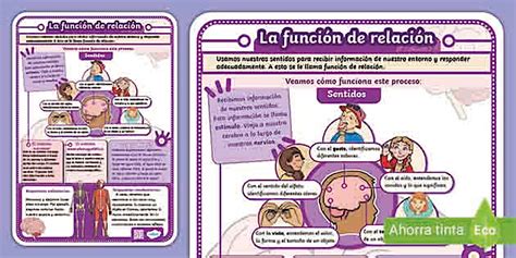 Infografía que muestra la relación entre el tipo de pastel (tarta, cupcake, macaron) y el diseño de caja correspondiente (con ventana, asa, plegable).